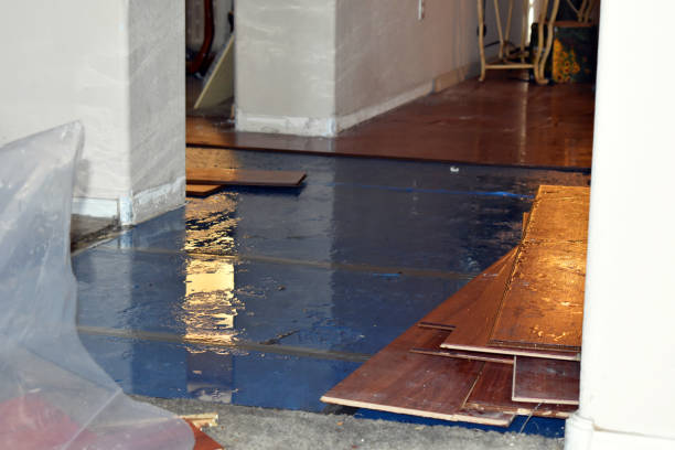 Professional Burst Pipe Cleanup technician working in Prudenville, MI